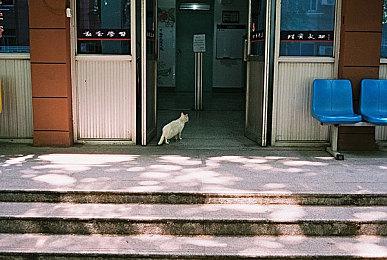 《索尼克》开发团队：不想加入电影版元素